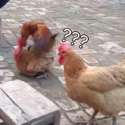 各大牌鸡年限定,外国人对鸡看法