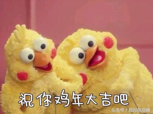 鹦鹉日常食品怎么喂好,超详细科普你的鹦鹉应该吃什么