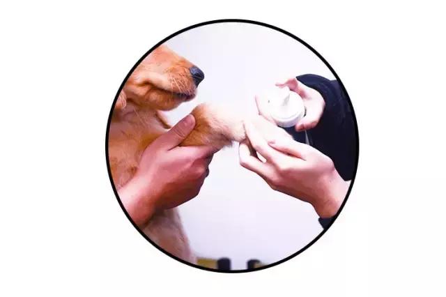 免洗泡沫十大排行榜,免洗泡沫洗手液测评