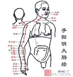 大肠怎么保健和护理,大肠的健康做法