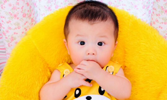 生肖鸡出生哪个月份最容易成功,2017年鸡宝宝4月的鸡是什么命