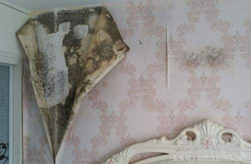 天然环保壁纸也有陷阱？！最远的路，果然是Jian商的套路啊！