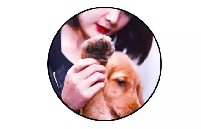 免洗泡沫十大排行榜,免洗泡沫洗手液测评