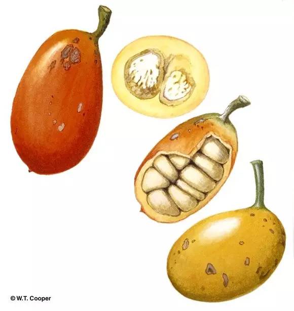 APGIV系统学习笔记分享（四）