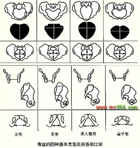 「科普」剖腹产的女明星那么多,为啥瘦小的“教主夫人”(杨颖)却能顺产?