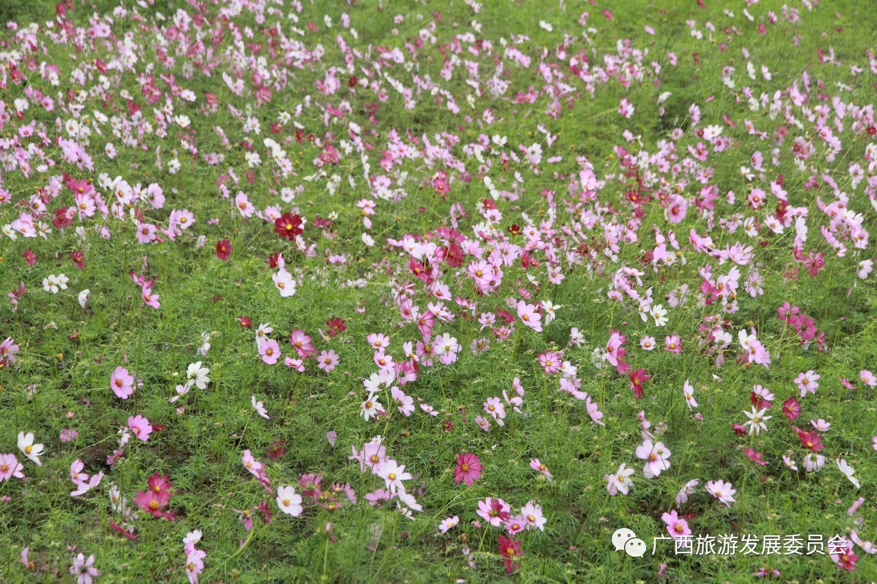 温暖人心的中国故事,感人的中国小故事