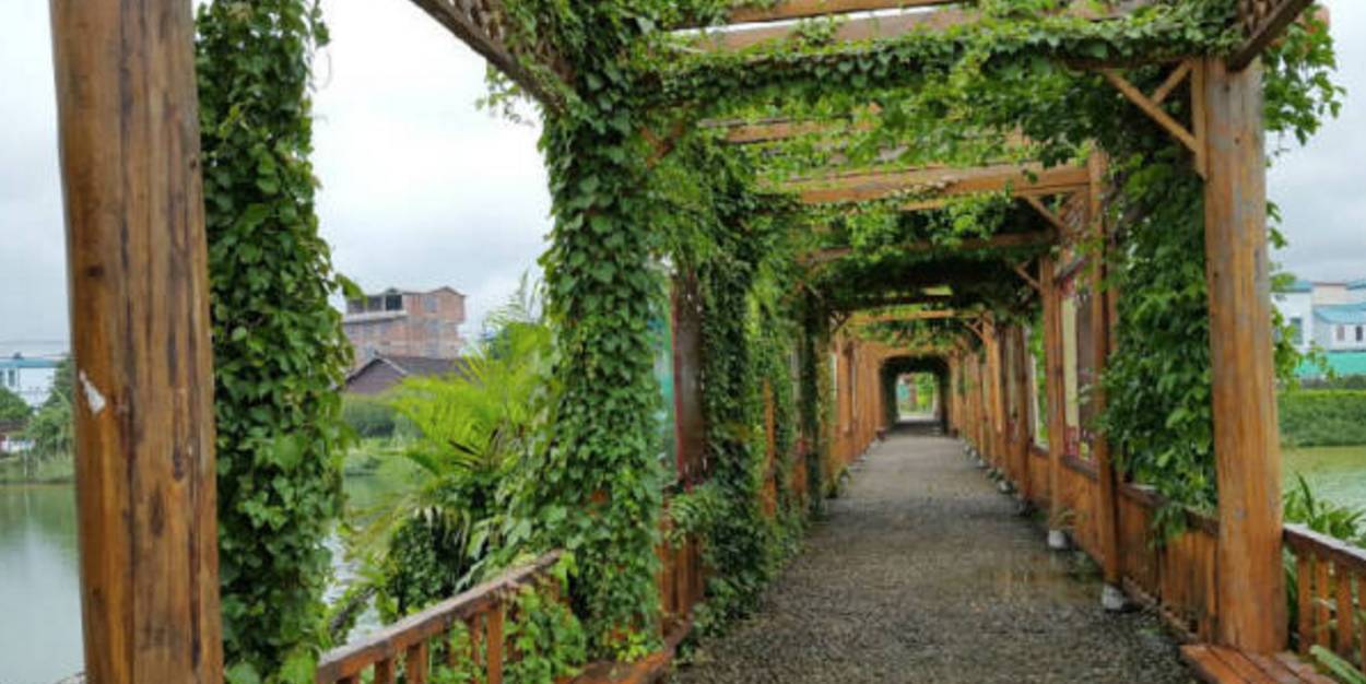 南宁周边农家乐景点推荐,南宁良庆区户外亲子农家乐