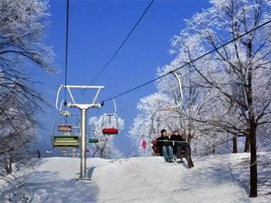 哈尔滨冬天免费玩雪的地方,哈尔滨冰雪旅游春节