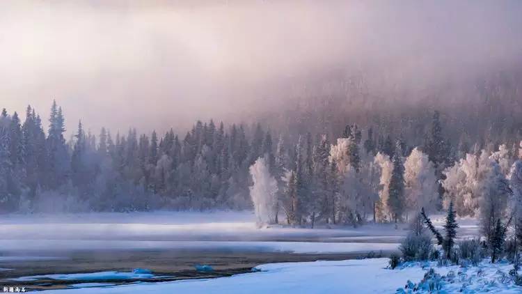 最新喀纳斯禾木视频,新疆喀纳斯禾木冬天视频