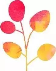 中医养生治口腔溃疡的小偏方,治口腔溃疡的民间小方法