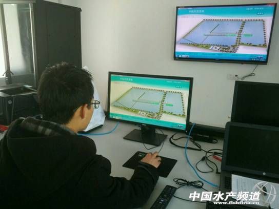 农村鱼塘养鱼新模式,一亩鱼塘规模化养鱼