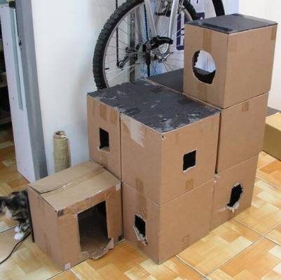 搬新家、换新厕，却被差评？“本喵憋屎抗议！”