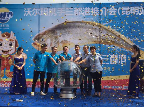 福建宁德市三都大黄鱼,宁德三都港大黄鱼