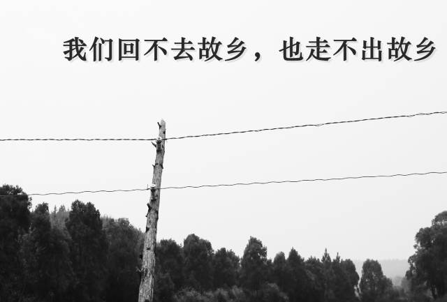 顾随诗词100首,顾随诗词最感人