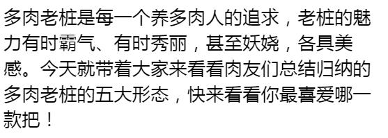 秀肉肉｜多肉老桩的5大形态，每一个我都爱！