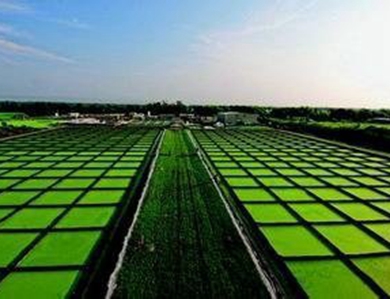 我省深入开展农村科技特派行动综述