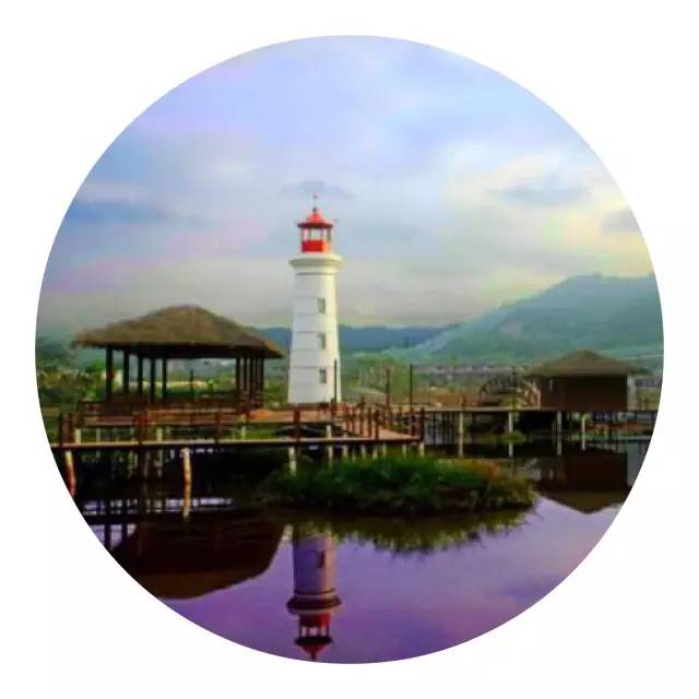 樱花诗词大会,樱花节诗词大会互动