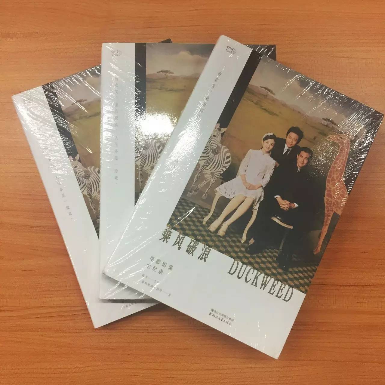 从只剩8毛钱到提名金球奖，这位美国胖妹的故事才是真励志