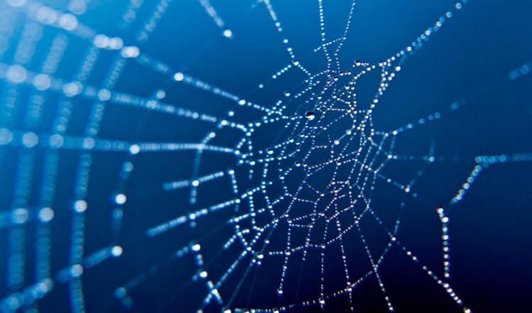 西双版纳从下飞机开始的攻略,进入西双版纳的视频