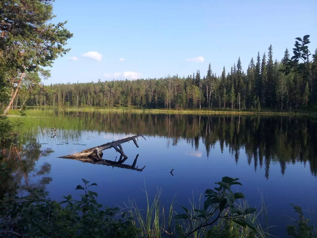 迷失在北欧,迷失在挪威的森林