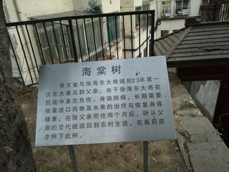 追寻历史遗迹感受文化魅力,八七疗养院历史遗迹