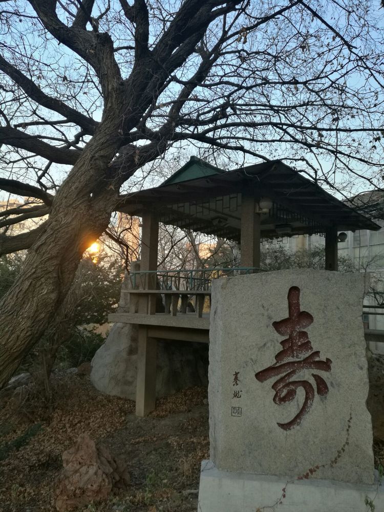 追寻历史遗迹感受文化魅力,八七疗养院历史遗迹