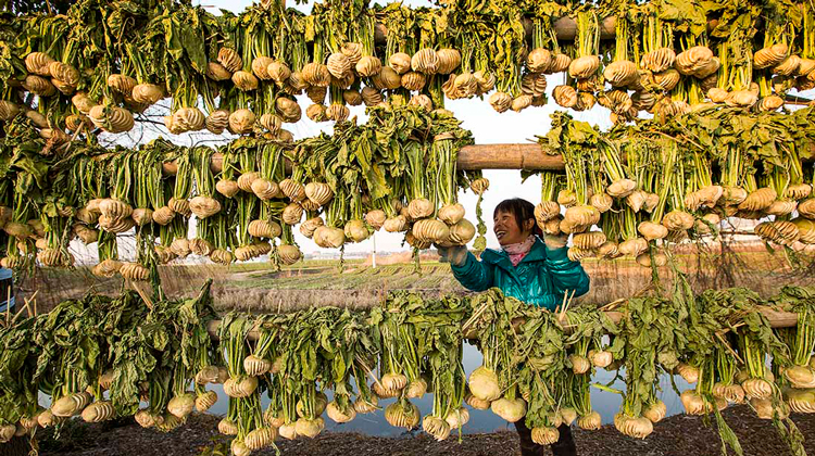 南通人吃什么比较好,南通人记忆中的年味