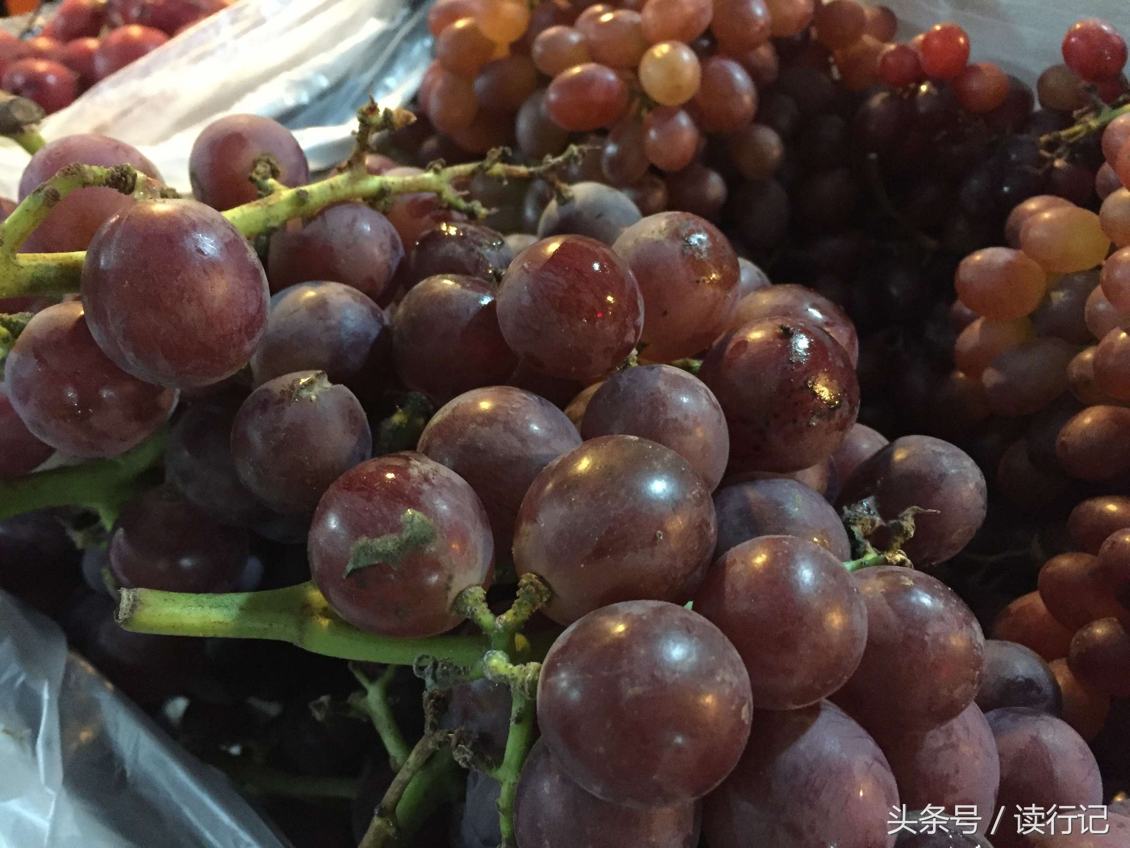 90后年轻夫妻过年不回家，摆摊卖水果日入五千元