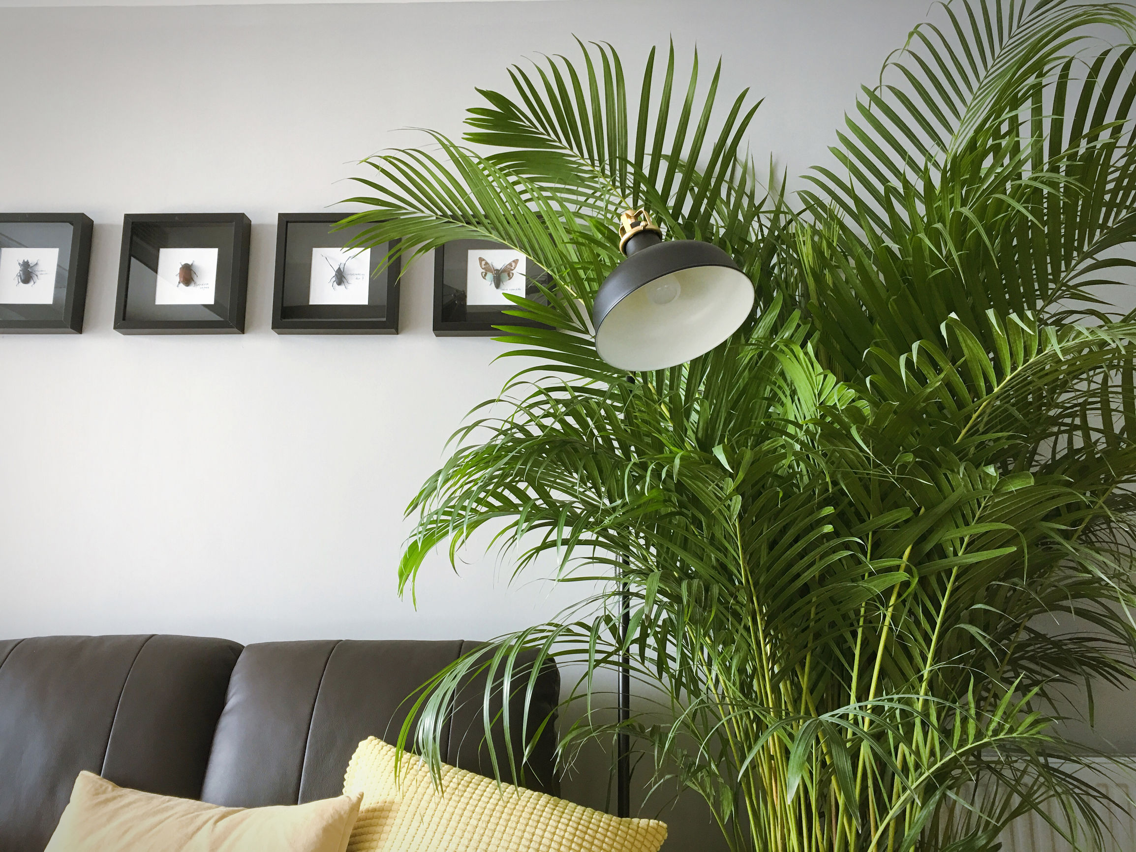 一人住一室挑高房,91平两室一厅一卫一厨装修