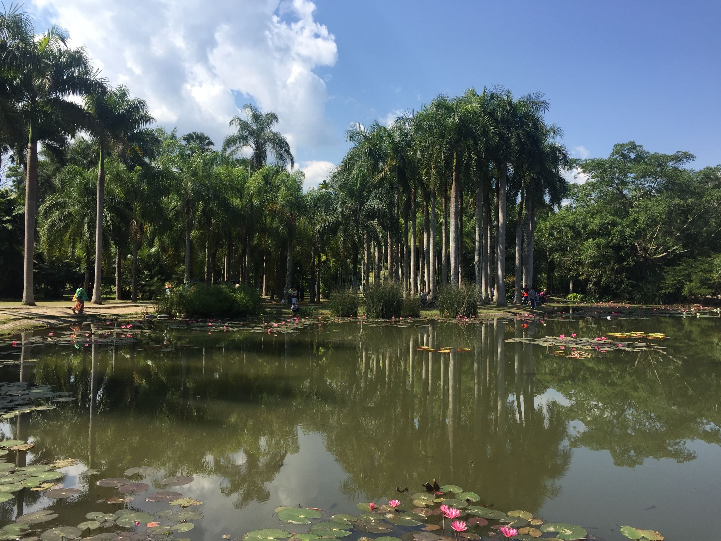 西双版纳体验版纳民族风情,西南边陲明珠