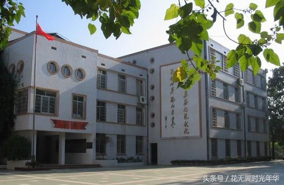 长沙岳麓区好的私立初中,岳麓区初中教育质量排名