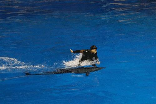 索尼a99ii最新价格,索尼a99ii样片