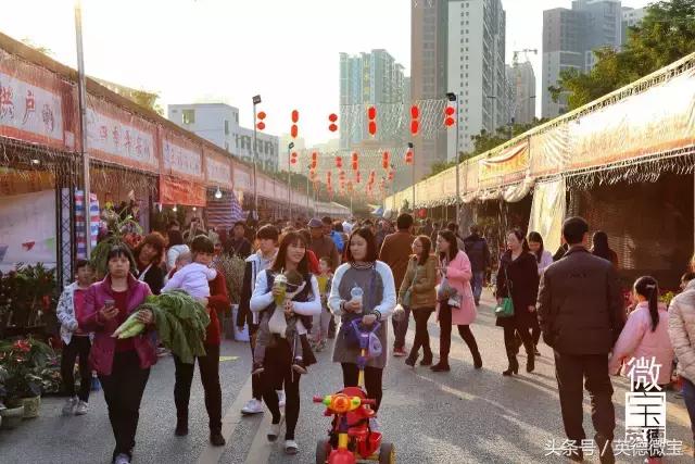 英德美丽的花街,英德花街