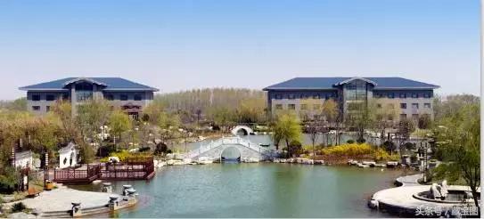 过年哪些饭店营业,聊城美食春节照常营业