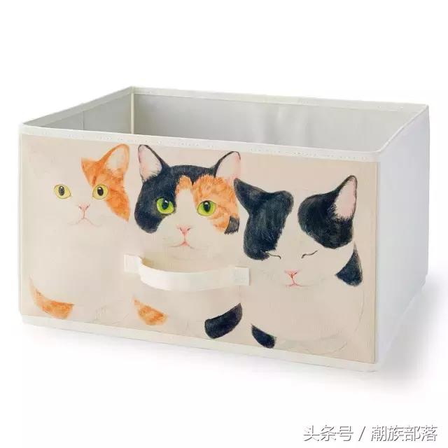 猫控营养补充剂,猫控