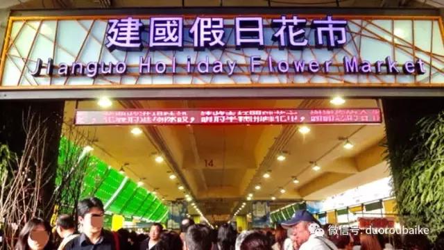 春节花市的鲜花,春节能看花的植物