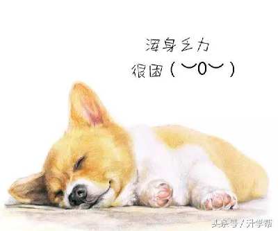 过完春节之后不想上班了,过完年不想干了怎么办