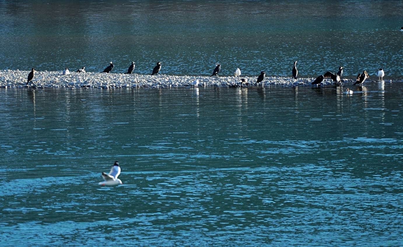 河道被挖开,被挖出来的河