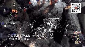 沈阳的未来会发展成什么样,沈阳发展变化