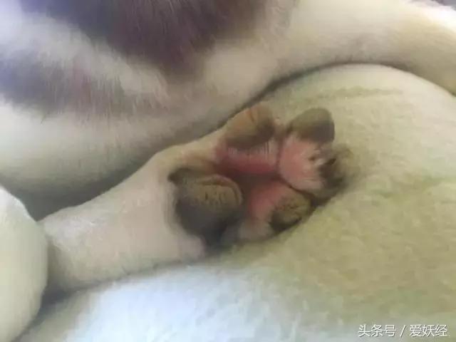 足部养生手法,足部保健有哪些问题