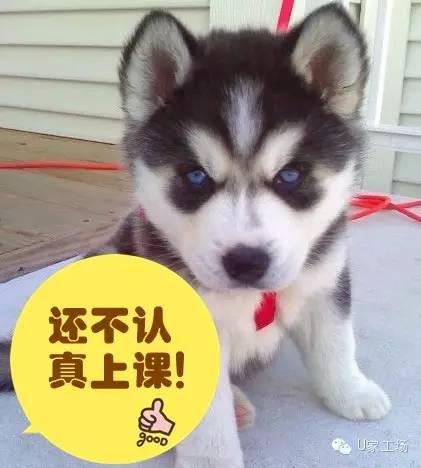 装修公司的8大装修猫腻,装修公司免费装修套路揭秘