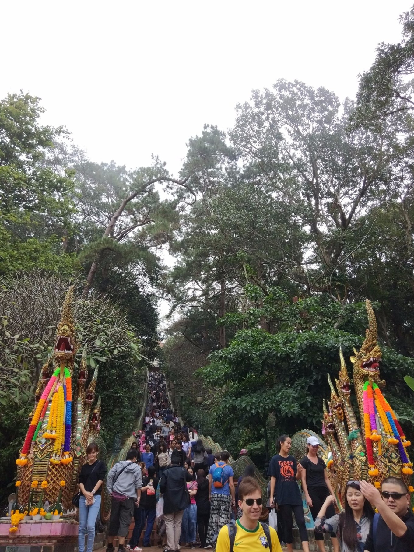 泰国清迈曼谷四日游攻略,说走就走的旅行港澳篇