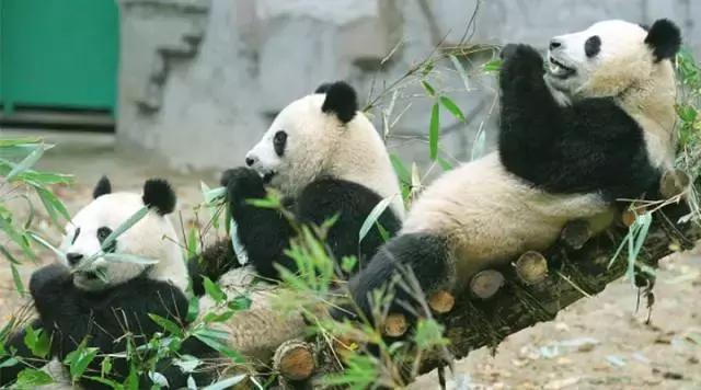 推荐西安周边一日游的绝佳去处,西安适合周末全家游玩的地方