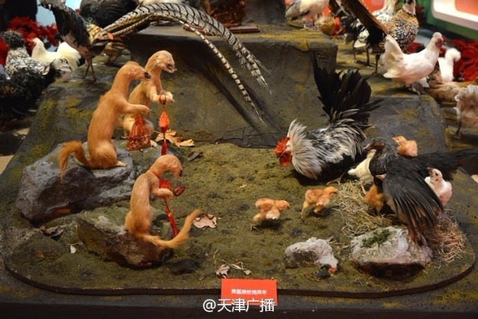 京津冀医保异地报销北京医院,京津冀医保门诊异地直接结算