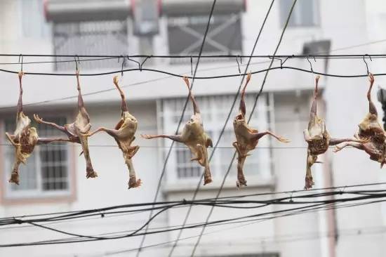 在外打拼的游子快要回家过年啦,在外打拼的少年