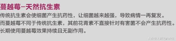 澳洲swisse蔓越莓膳食纤维,澳洲healthcare蔓越莓