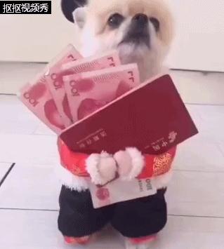 狗狗主人伸手要却不给钱瞬间回头,狗狗拿出零花钱给主人