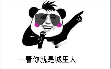 过年回家装x指南,如何低调装x