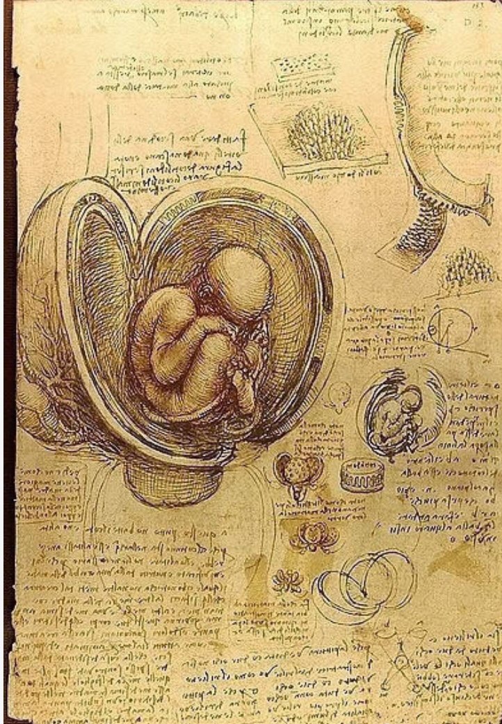达芬奇与米开朗基罗谁更牛逼,达芬奇早期牛逼吗