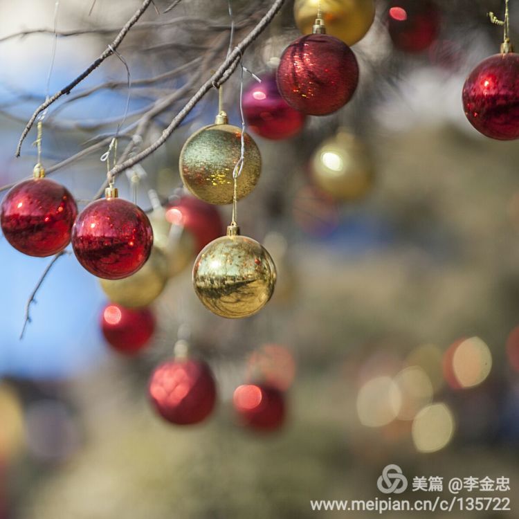 北京庙会排名一览表,北京莲花池公园庙会